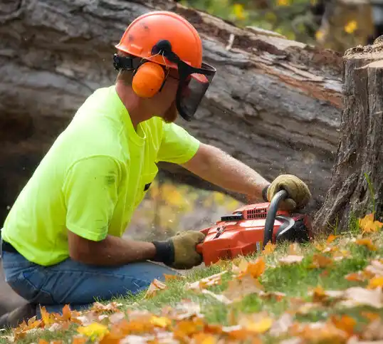 tree services Red Oaks Mill